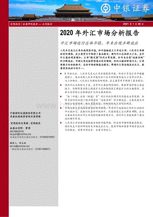 2020年外汇市场分析报告：外汇市场运行总体平稳年末出现羊群效应.pdf