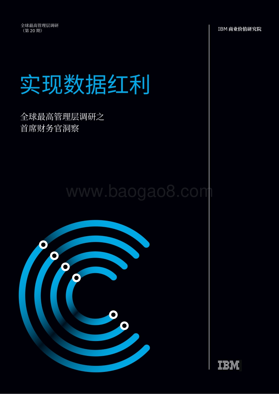 实现数据红利：全球最高管理层调研之首席财务官洞察.pdf_第1页