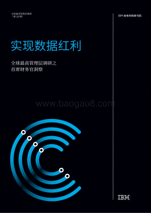 实现数据红利：全球最高管理层调研之首席财务官洞察.pdf