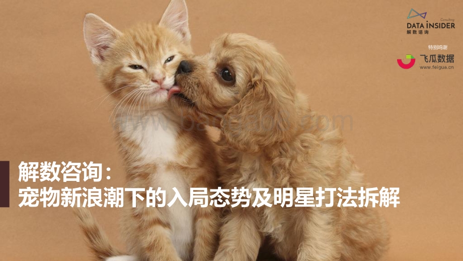 宠物新浪潮下的入局态势及明星打法拆解.pdf_第1页