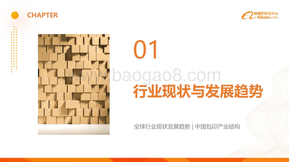 阿里巴巴国际站包装印刷行业跨境电商发展报告.pdf_第3页