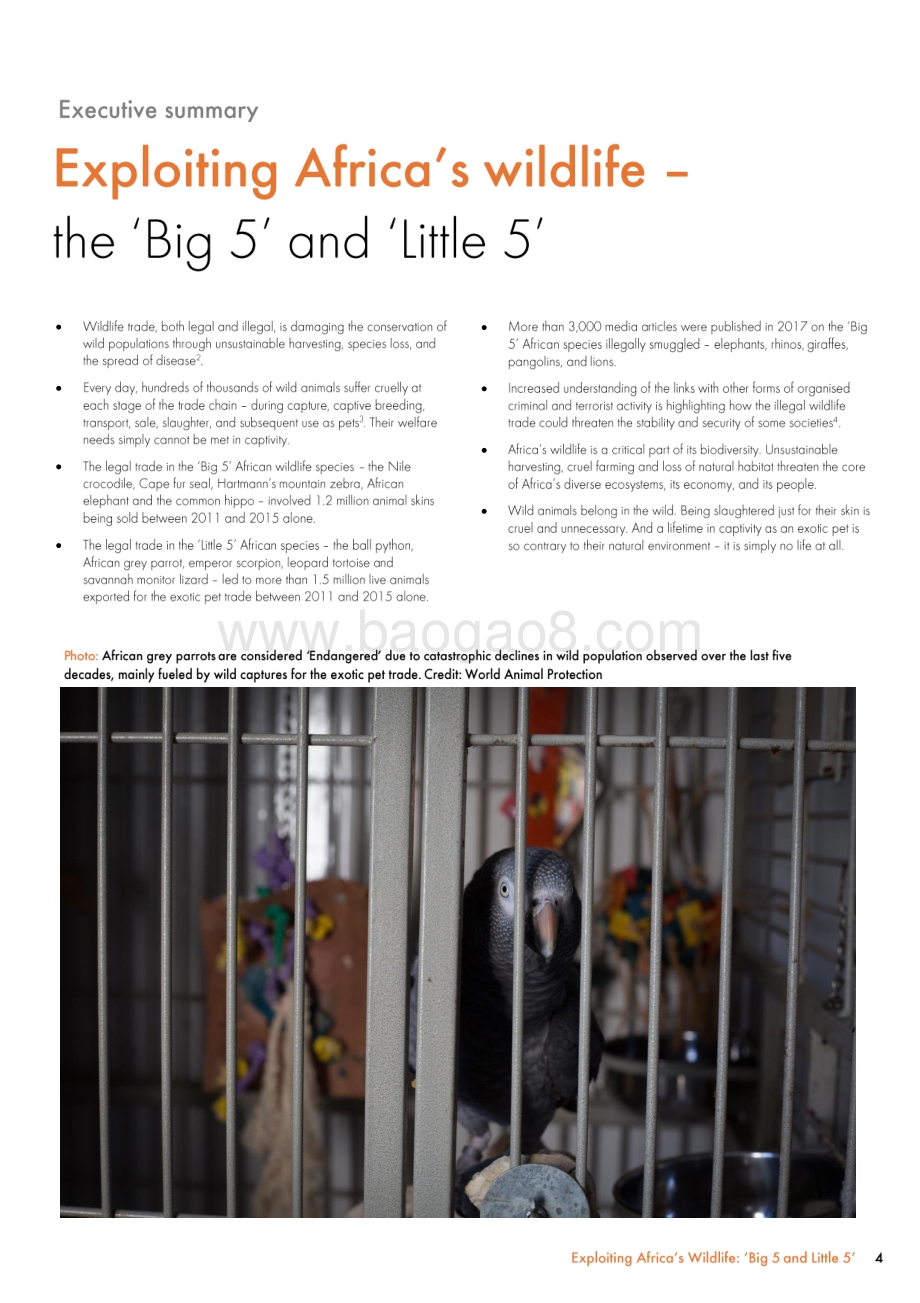 非洲“五大”和“五小”：野生动物合法贸易对动物福利的影响（英文版）.pdf_第4页
