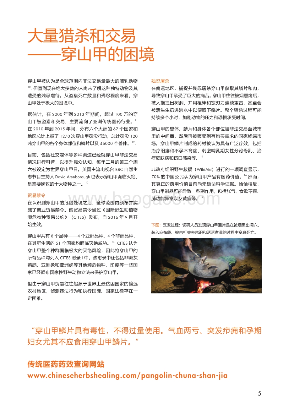 印度穿山甲盗猎和非法交易调查报告：濒“鳞”困境.pdf_第5页
