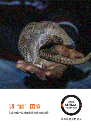 印度穿山甲盗猎和非法交易调查报告：濒“鳞”困境.pdf