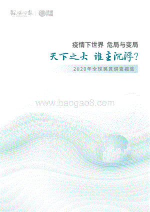 2020年全球民意调查报告.pdf