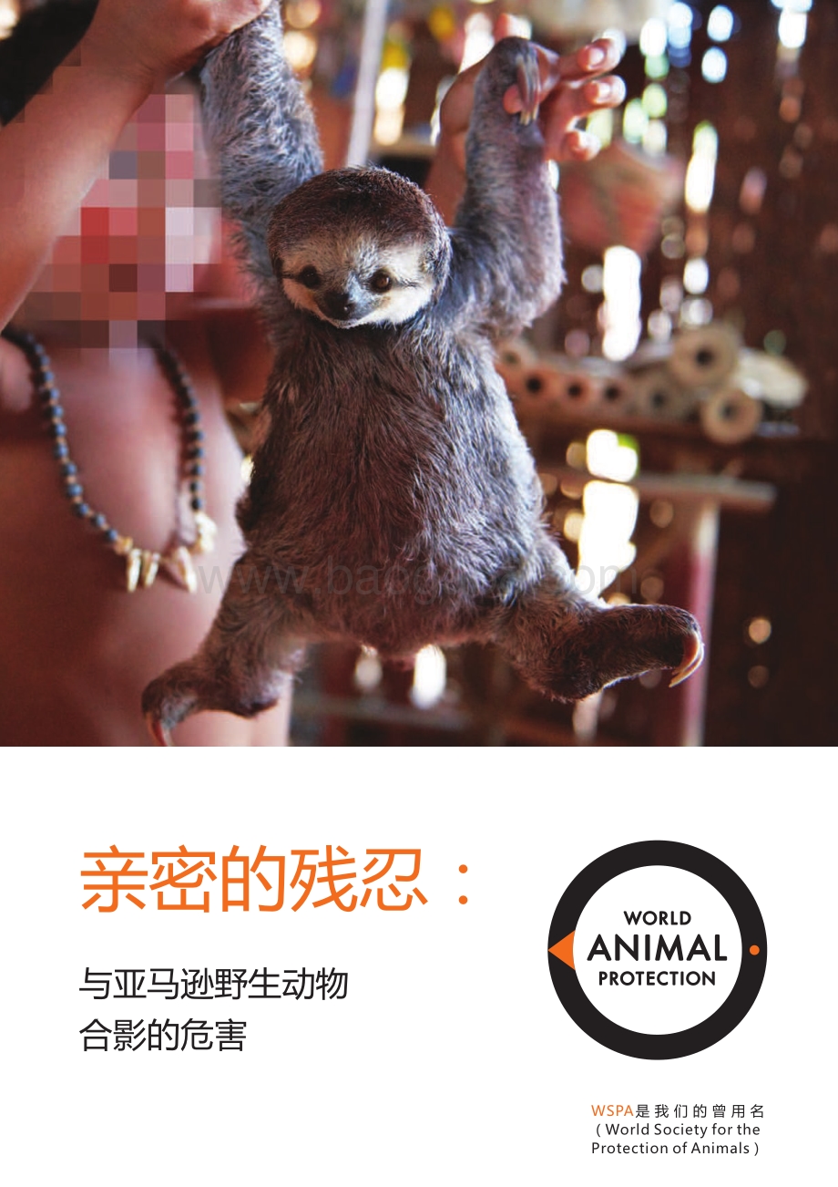 亲密的残忍：与亚马逊野生动物合影的危害.pdf_第1页