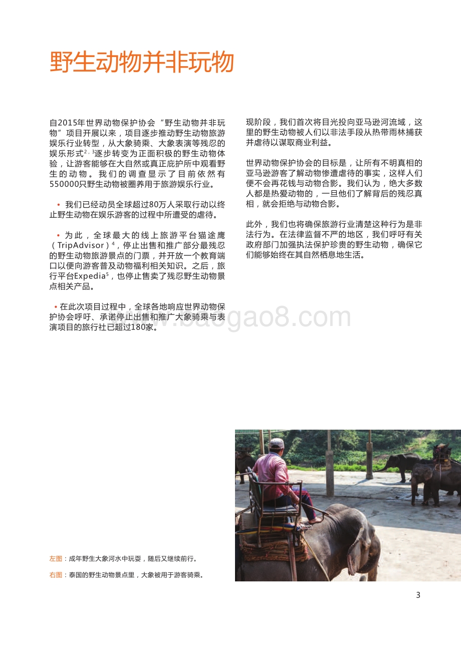 亲密的残忍：与亚马逊野生动物合影的危害.pdf_第3页