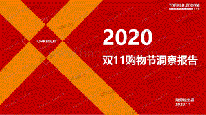 2020双11购物节洞察报告.pdf