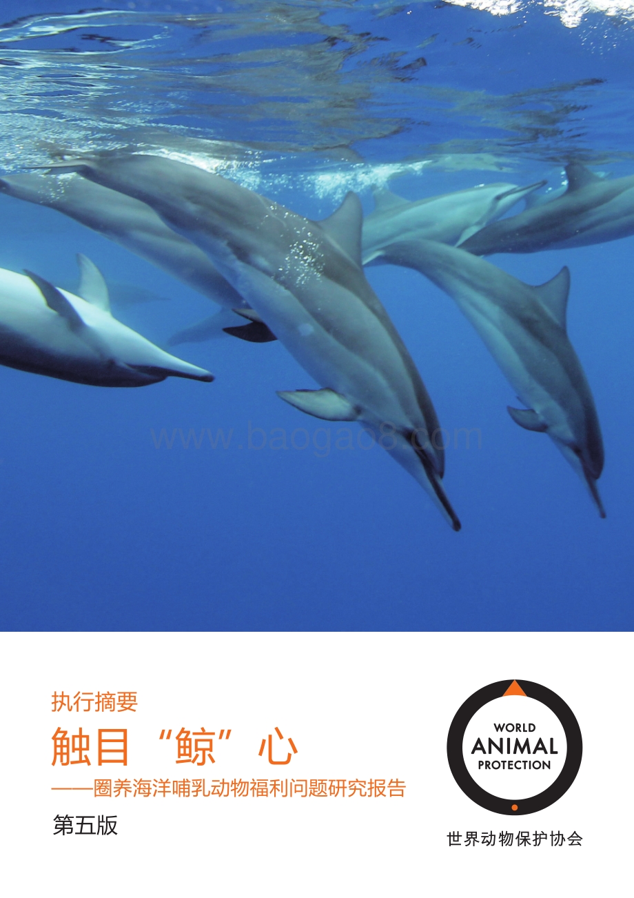 圈养海洋哺乳动物福利问题研究报告：触目“鲸”心.pdf_第1页