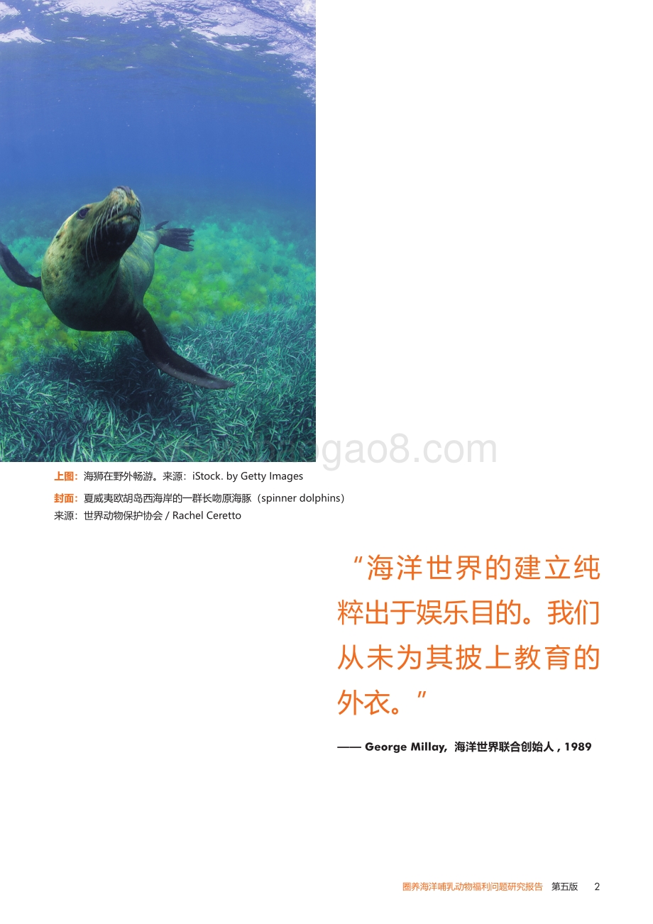 圈养海洋哺乳动物福利问题研究报告：触目“鲸”心.pdf_第2页