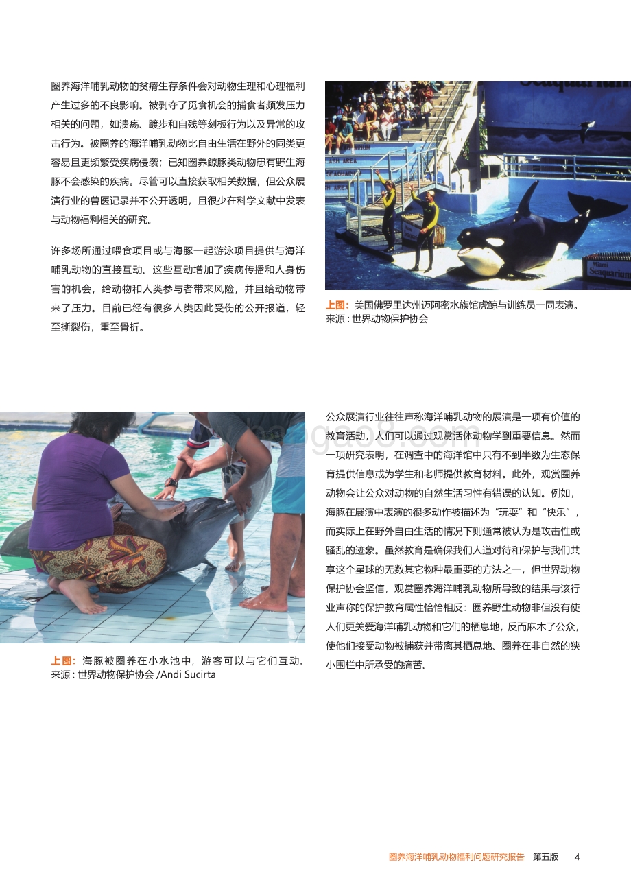 圈养海洋哺乳动物福利问题研究报告：触目“鲸”心.pdf_第4页