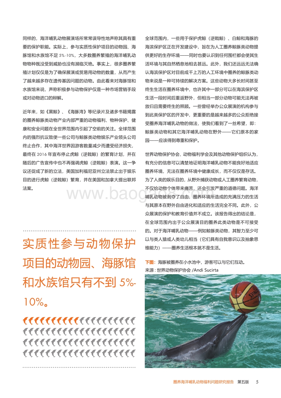 圈养海洋哺乳动物福利问题研究报告：触目“鲸”心.pdf_第5页