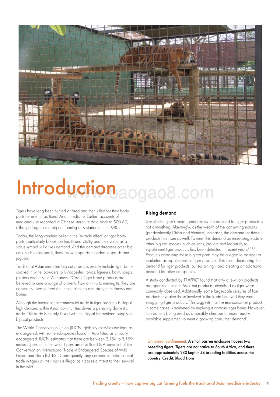 圈养大猫入药对动物福利影响的研究：王者之殇（英文版）.pdf_第4页