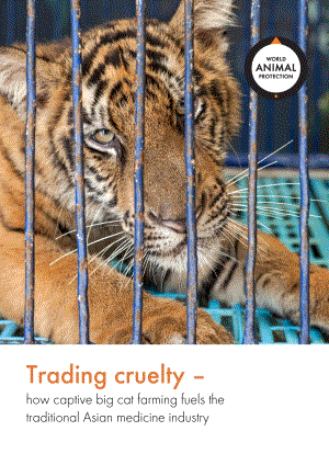 圈养大猫入药对动物福利影响的研究：王者之殇（英文版）.pdf