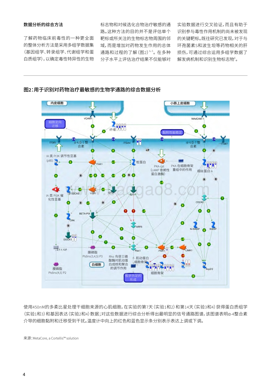 毒理学研究的最佳实践：提高药物安全性：目前面临的挑战和新方法.pdf_第4页