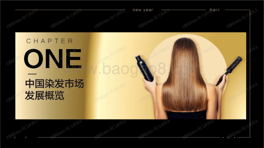 2020染发安全趋势报告.pdf_第3页