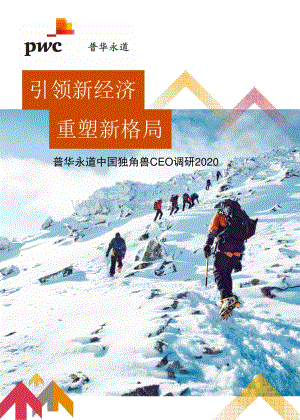 2020中国独角兽CEO调研.pdf