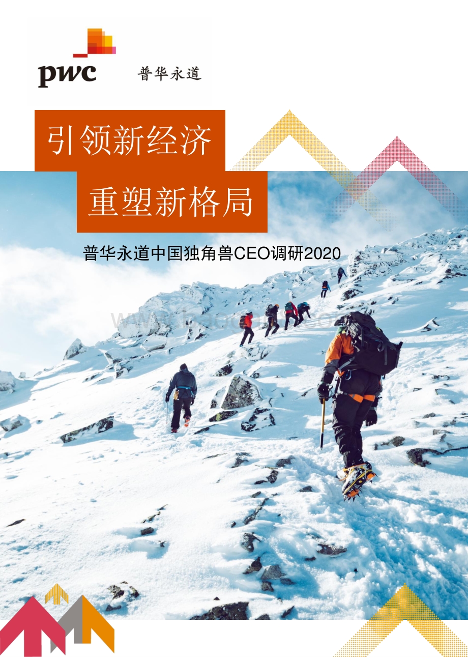 2020中国独角兽CEO调研.pdf_第1页