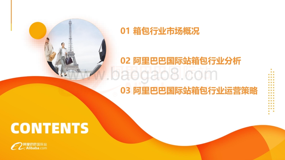 2020年阿里巴巴国际站箱包行业分析报告.pdf_第2页