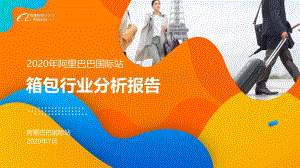 2020年阿里巴巴国际站箱包行业分析报告.pdf