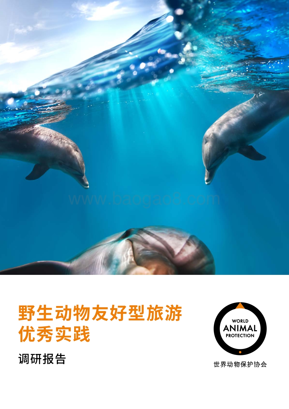 野生动物友好型旅游优秀实践调研报告.pdf_第1页