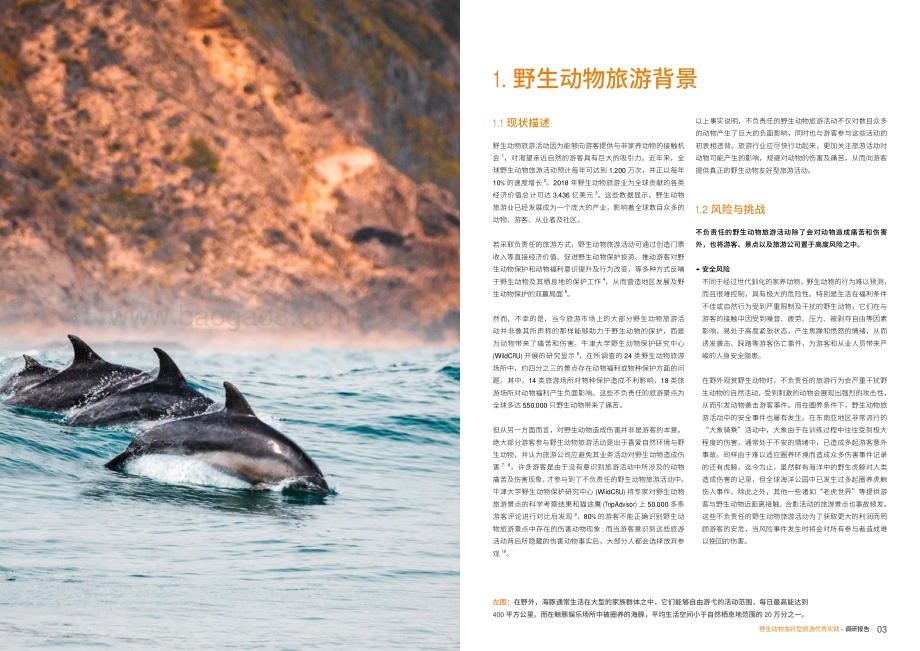 野生动物友好型旅游优秀实践调研报告.pdf_第3页
