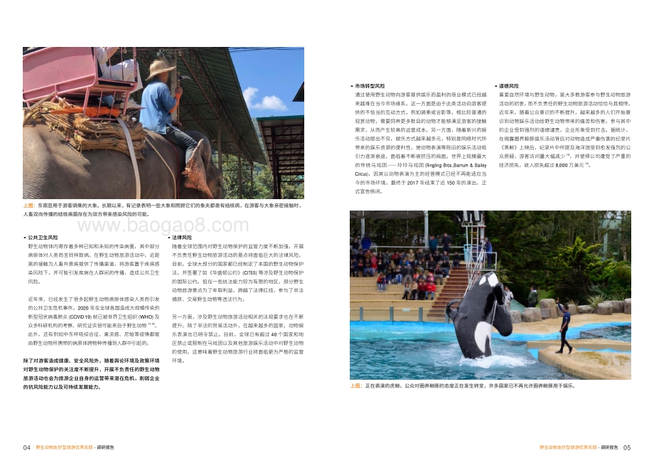 野生动物友好型旅游优秀实践调研报告.pdf_第4页