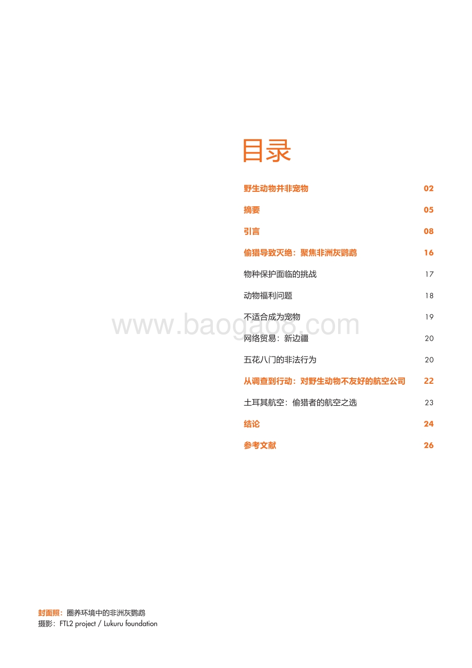 狂野之心：异域宠物贸易的残酷现状.pdf_第3页
