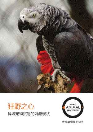 狂野之心：异域宠物贸易的残酷现状.pdf