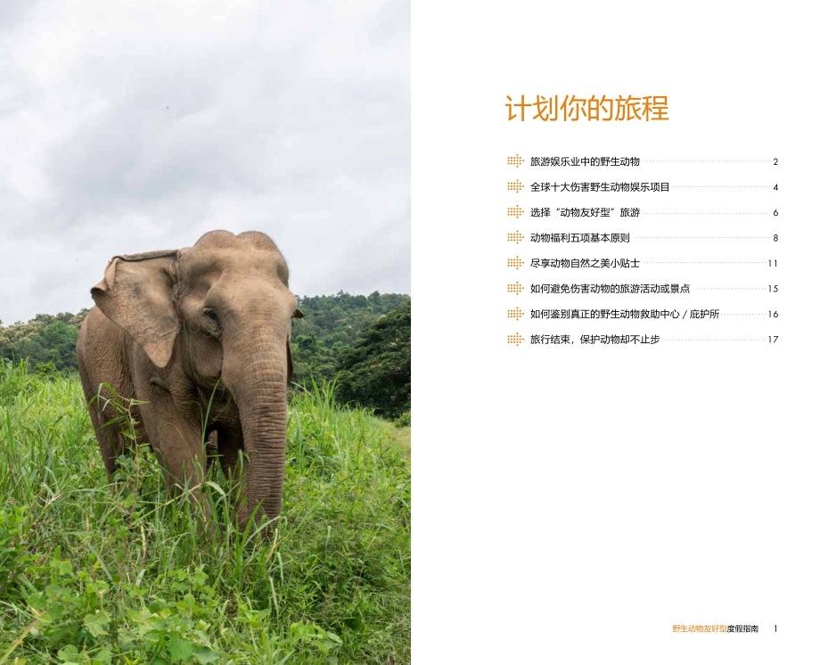 野生动物友好型度假指南.pdf_第2页