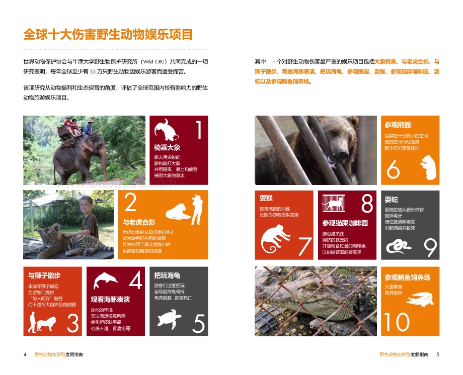 野生动物友好型度假指南.pdf_第4页