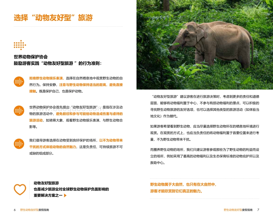 野生动物友好型度假指南.pdf_第5页