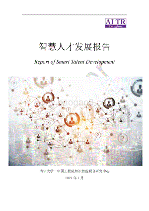 智慧人才发展报告.pdf