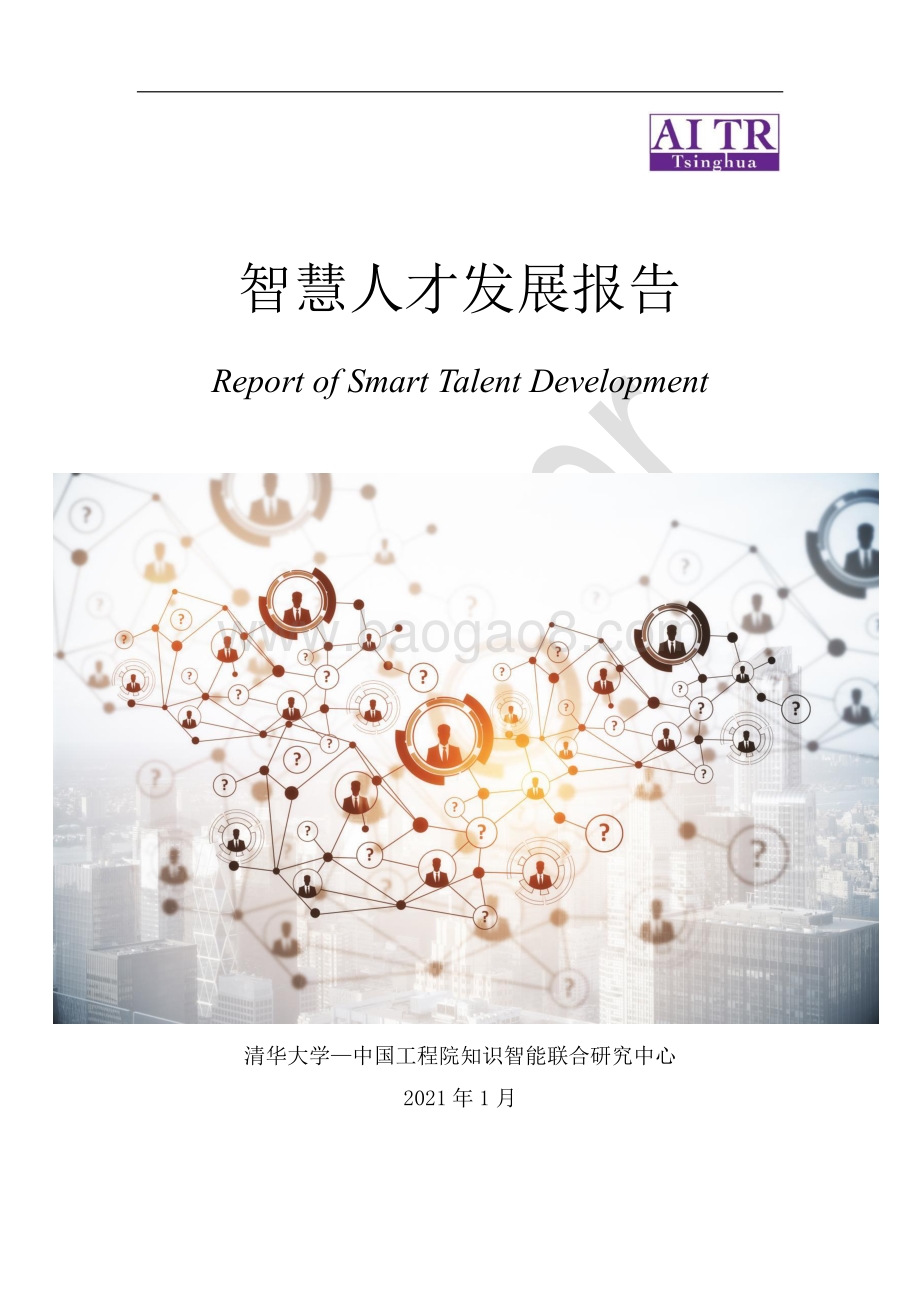 智慧人才发展报告.pdf_第1页