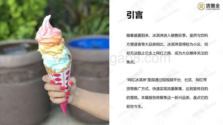 2020网红冰淇淋行业报告.pdf_第3页