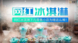 2020网红冰淇淋行业报告.pdf