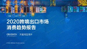 2020跨境出口市场消费趋势报告.pdf