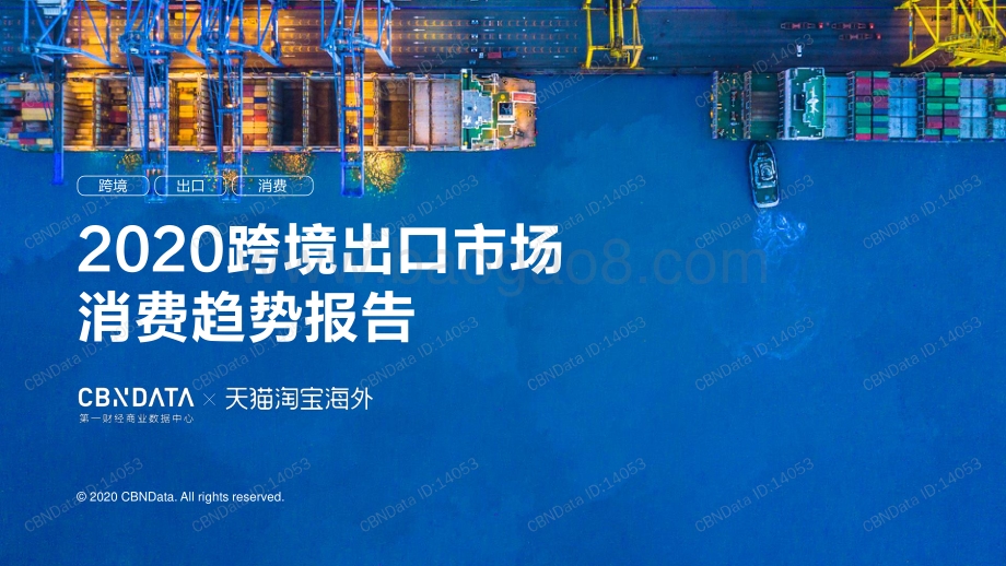 2020跨境出口市场消费趋势报告.pdf_第1页