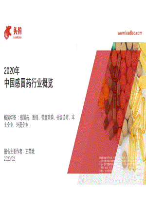 2020年中国感冒药行业概览.pdf