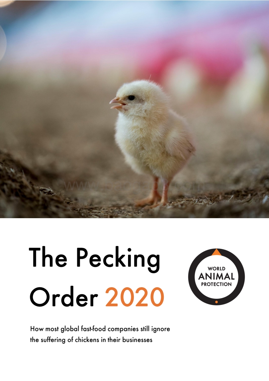 2020全球快餐行业肉鸡福利报告（英文版）.pdf_第1页