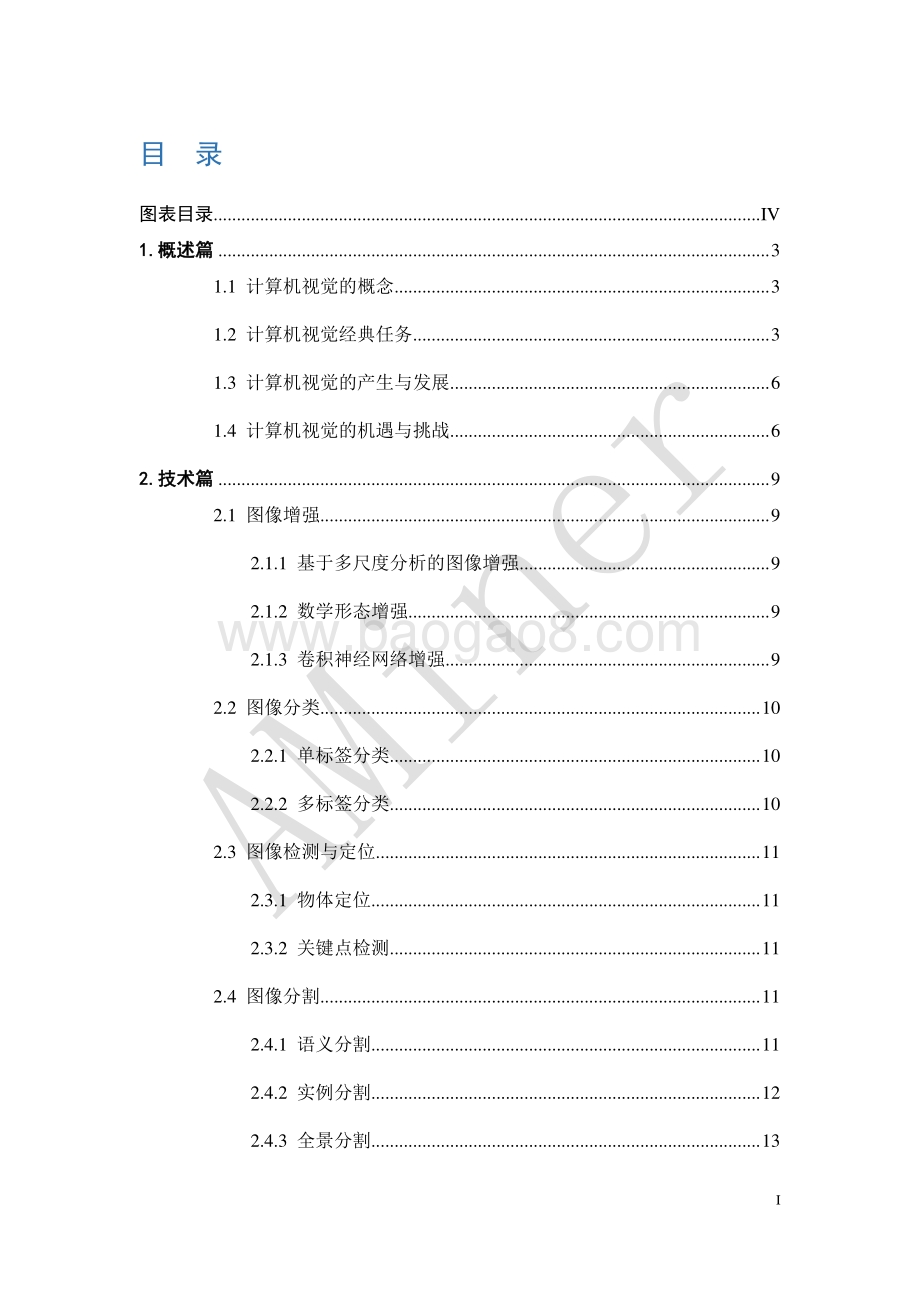 人工智能之计算机视觉.pdf_第3页