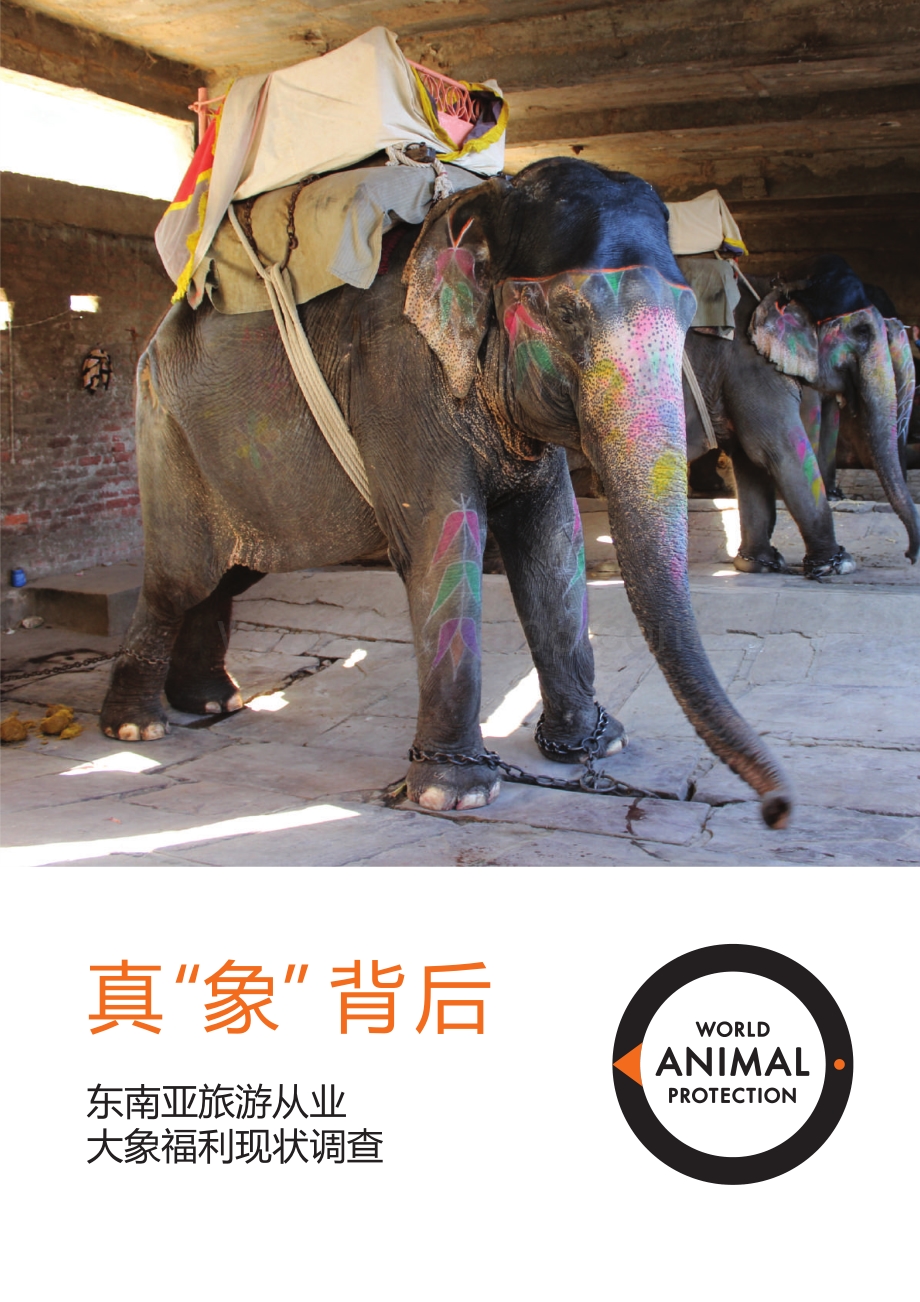 东南亚旅游从业大象福利现状调查：真“象”背后.pdf_第1页