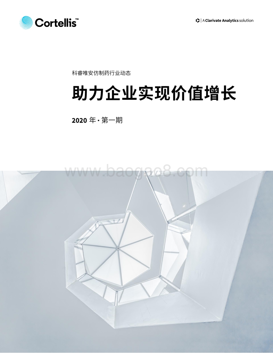 2020年第一期仿制药行业动态.pdf_第1页