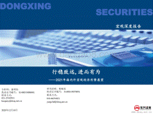 2021年海内外宏观经济形势展望：行稳致远进而有为.pdf