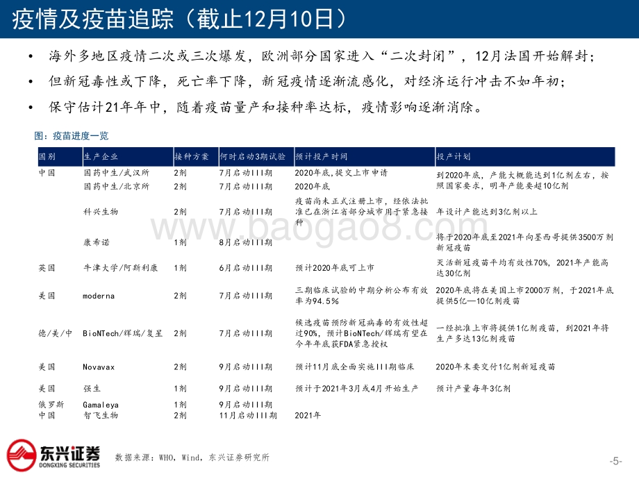 2021年海内外宏观经济形势展望：行稳致远进而有为.pdf_第5页