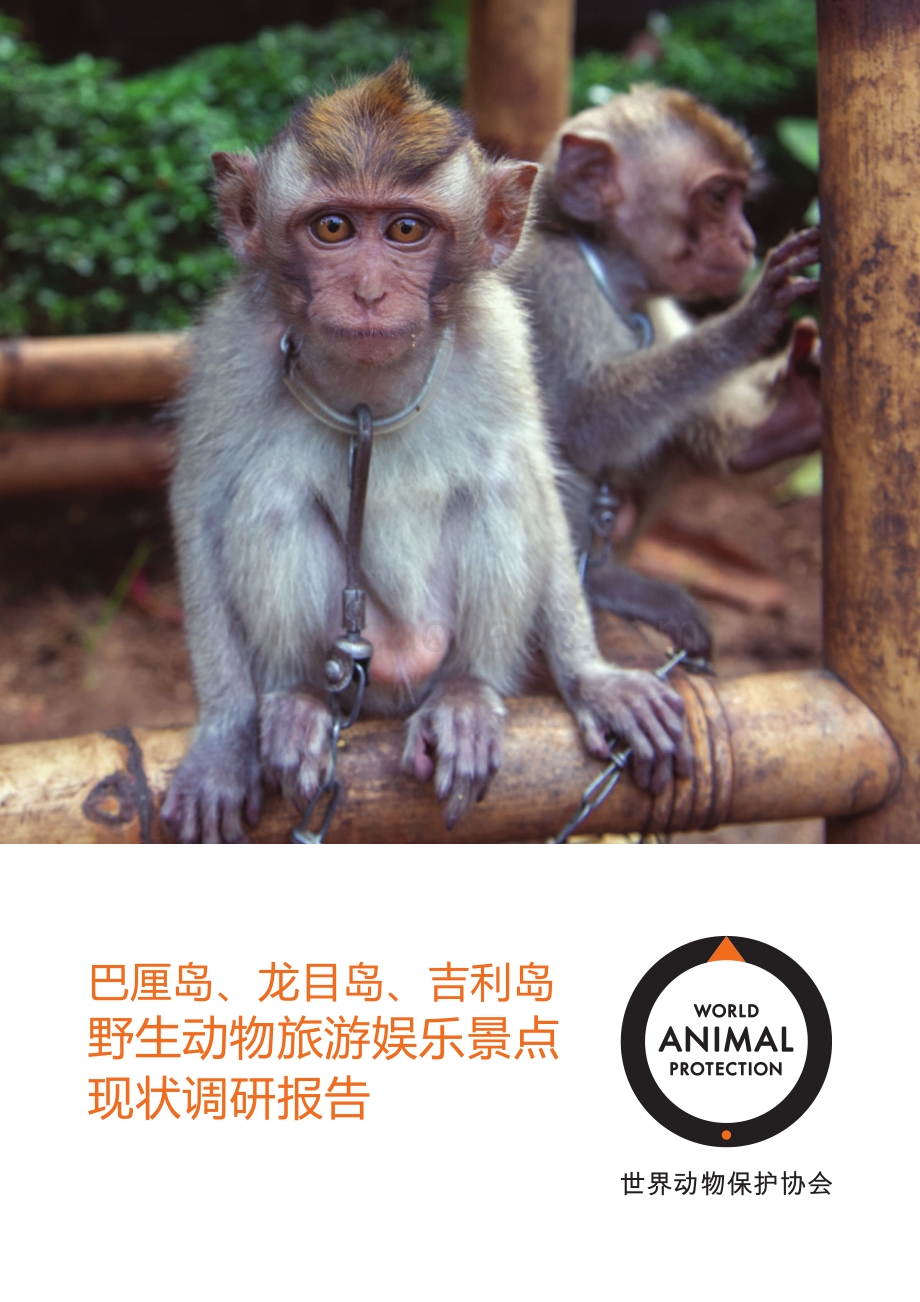巴厘岛、龙目岛、吉利岛野生动物旅游娱乐景点现状调研报告.pdf_第1页