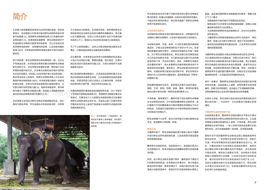 巴厘岛、龙目岛、吉利岛野生动物旅游娱乐景点现状调研报告.pdf_第4页