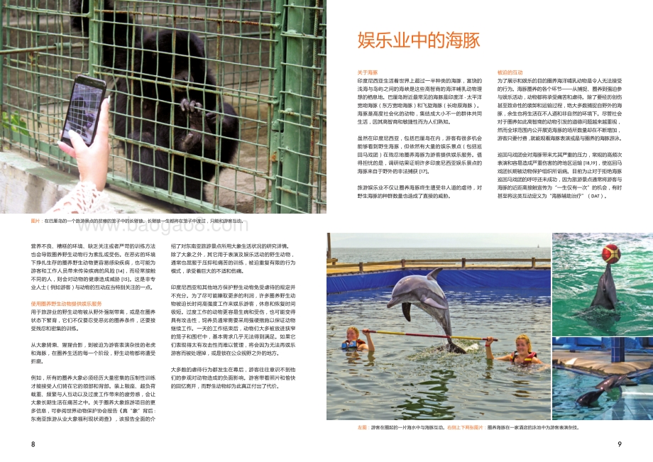 巴厘岛、龙目岛、吉利岛野生动物旅游娱乐景点现状调研报告.pdf_第5页