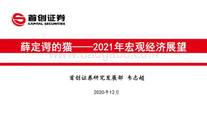 2021年宏观经济展望：薛定谔的猫.pdf