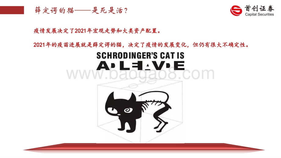 2021年宏观经济展望：薛定谔的猫.pdf_第4页